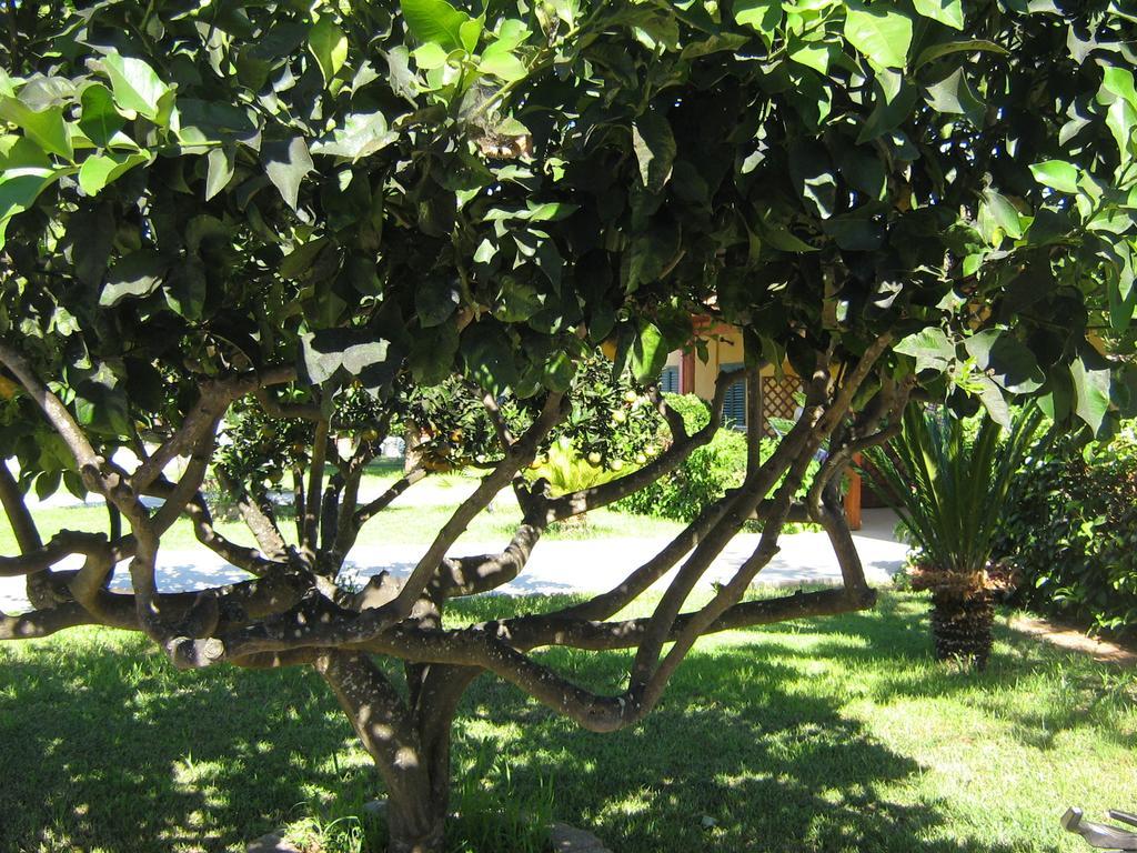 Tenuta Paifer Otranto Buitenkant foto
