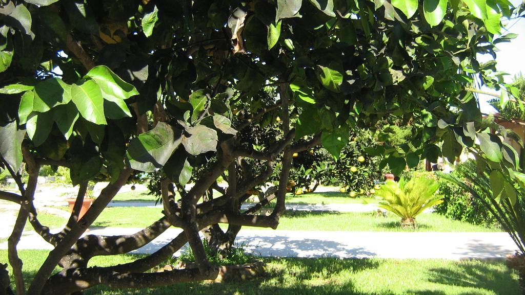 Tenuta Paifer Otranto Buitenkant foto